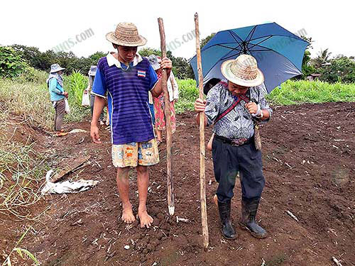 7.สรรคุณป้องกันรักษาโรค