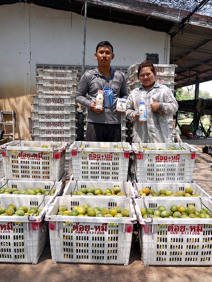 9.รายได้จากการขายผลผลิตส้มเขียวหวานดำเนินประมาณ-10-ตันต่อรอบ