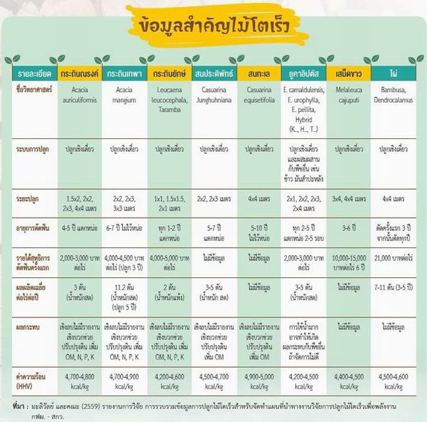 ข้อมูลการปลูกไม้โตเร็ว