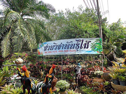 สวนวิชาพันธุ์ไม้