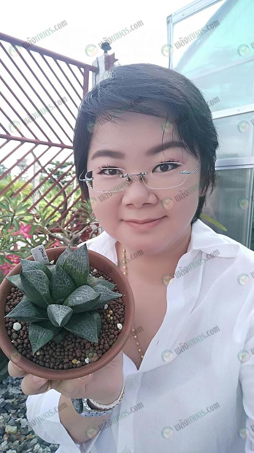 1.คุณพรเพชร-สุวรรณวิชิต-ผู้ปลูกเลี้ยงไม้อวบน้ำและแคคตัส
