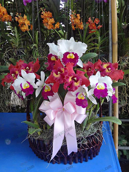 10.การจัดกระเช้าเป็นของขวัญ-ของฝาก