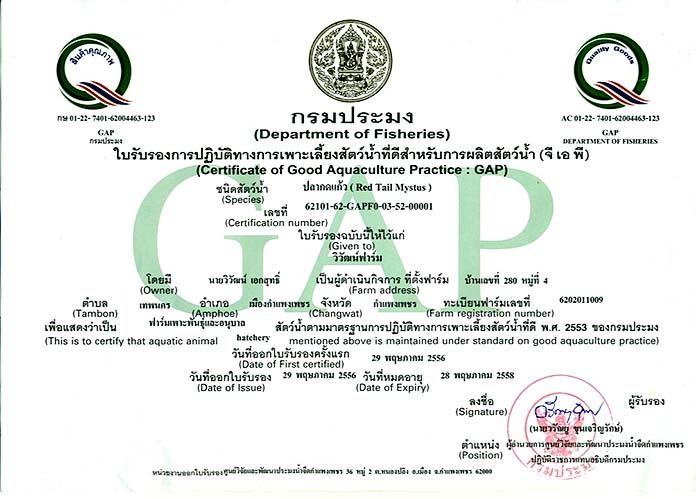6.การได้รับใบรับรองมาตรฐาน-GAP-จากกรมประมง
