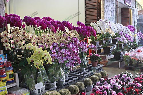 9.การจัดตกแต่งกล้วยไม้แคทลียา