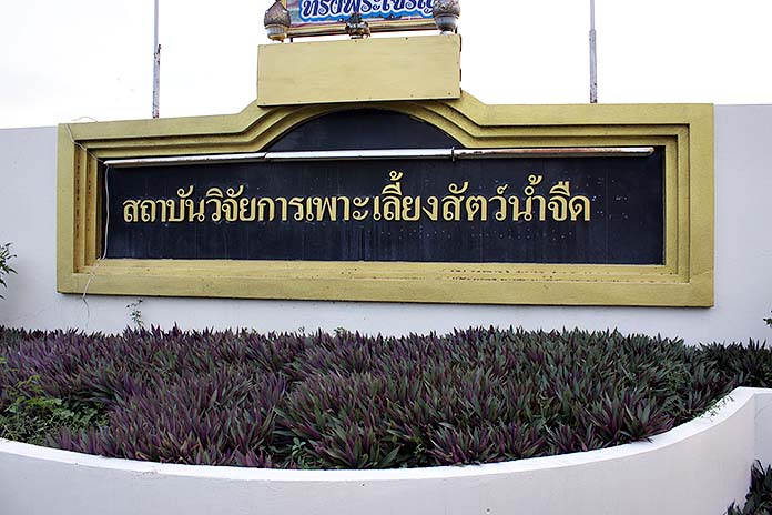 9.สถาบันวิจัยการเพาะเลี้ยงสัตว์น้ำจืด