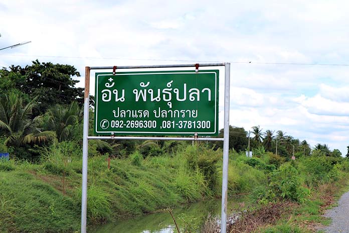 9.อั๋นพันธุ์ปลา