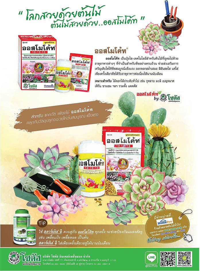 Advertisement-Banner-by-บริษัท-โซตัส-อินเตอร์เนชั่นแนล-จำกัด-www.sotus.co.t้h