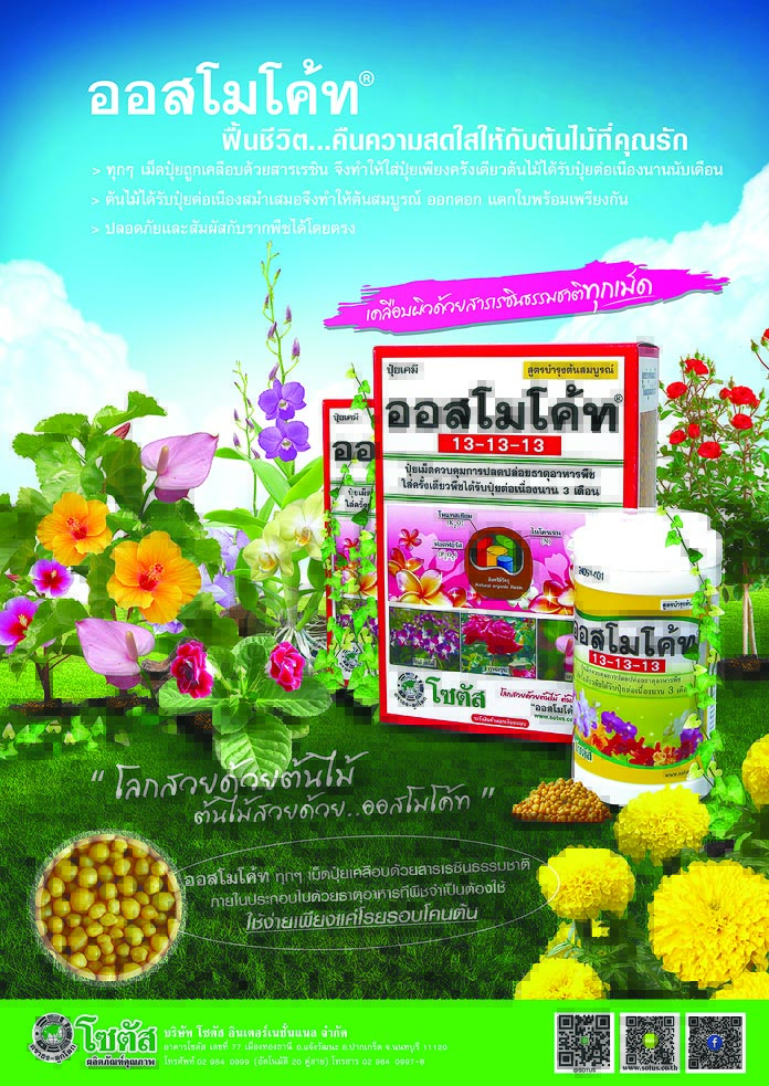 Advertisement Banner by บริษัท โซตัส อินเตอร์เนชั่นแนล จำกัด www.sotus.co.th