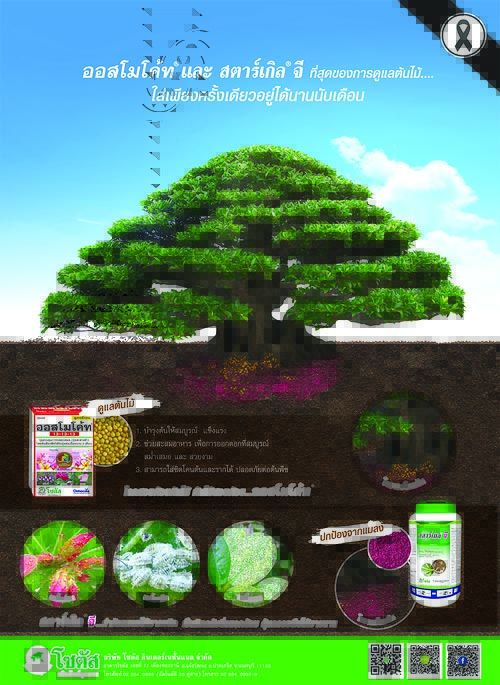 Advertisement-Banner-by-บริษัท-โซตัส-อินเตอร์เนชั่นแนล-จำกัด-www.sotus.co.th