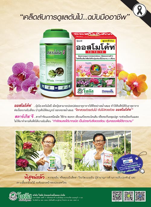 Advertisement-Banner-by-บริษัท-โซตัส-อินเตอร์เนชั่นแนล-จำกัด-www.sotus.co.th