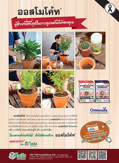 Advertisement-Banner-by-บริษัท-โซตัส-อินเตอร์เนชั่นแนล-จำกัด-www.sotus.co.th