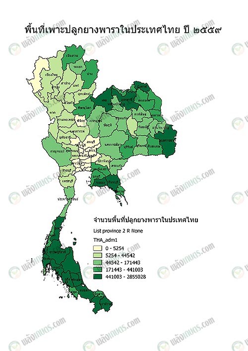 1.พื้นที่เพาะปลูกยางพารา