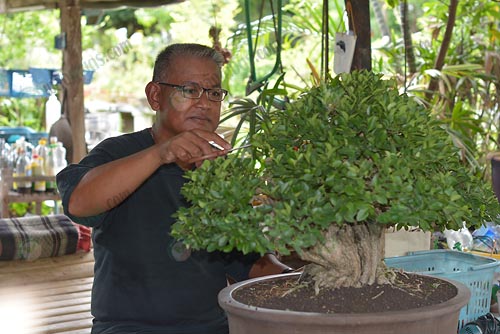 2.คุณกิตติ-พ่วงพานทอง-นักเล่นบอนไซ-จ.เพชรบุรี