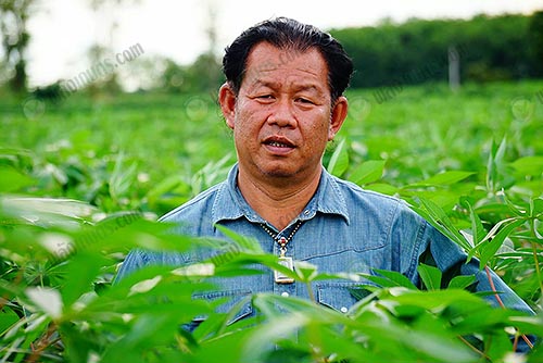 7.อาจารย์สกล-ฉายศรี-ผู้วิจัยพัฒนาเรื่องสายพันธุ์มันสำปะหลัง