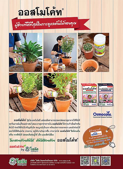 Advertisement-Banner-by-บริษัท-โซตัส-อินเตอร์เนชั่นแนล-จำกัด-www.sotus.co.th