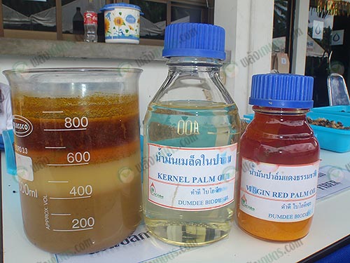 2.น้ำมันปาล์มที่แยกเป็นไบโอดีเซลและอื่นๆ
