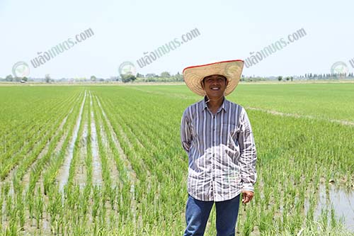 3.คุณเฉลียว-เต็มแป้น-เกษตรกรรุ่นใหม่เปลี่ยนชีวิตชาวนาสู่ความยั่งยืน
