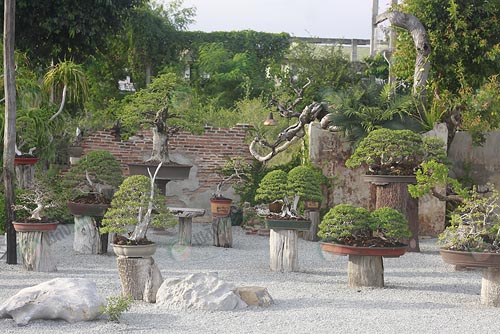 3.บรรยากาศภายในสวนบางแสน-บอนไซ