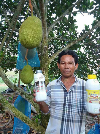 6.ผลิตภัณฑ์อาร์จินิคและไมโอนิน