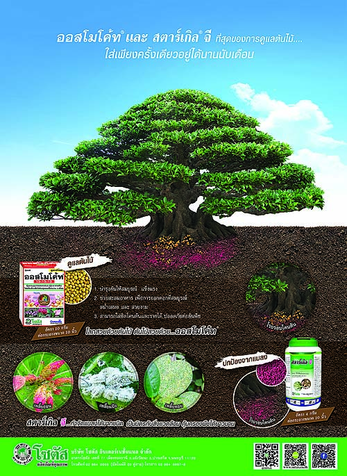 Advertisement-Banner-by-บริษัท-โซตัส-อินเตอร์เนชั่นแนล-จำกัด-www.sotus.co.th
