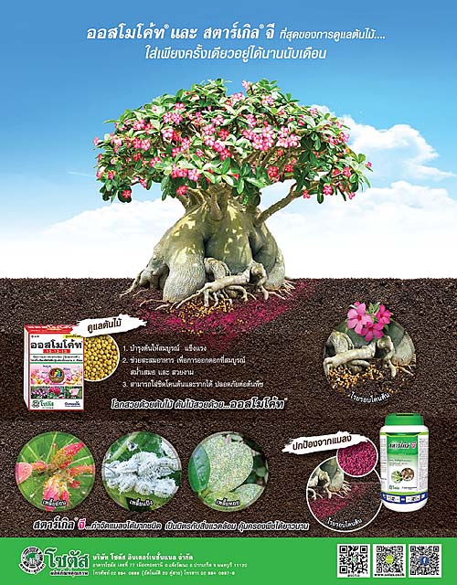 Advertisement-Banner-by-บริษัท-โซตัส-อินเตอร์เนชั่นแนล-จำกัด-www.sotus.co.th