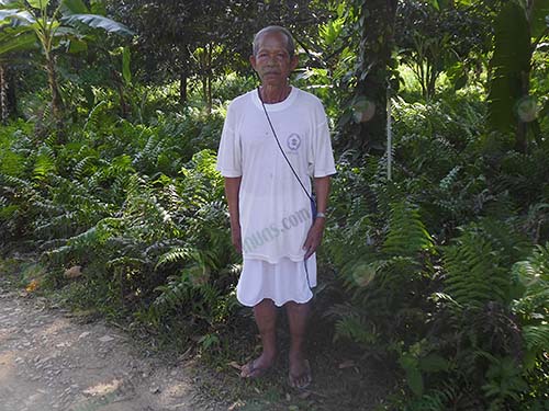 2.คุณลุงไล-สุพรรณ์-เจ้าของสวนผักกูด