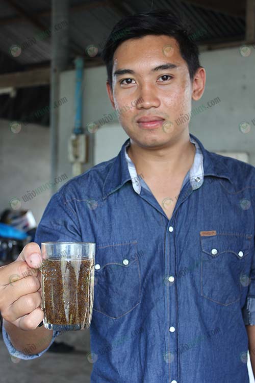 3.คุณสุฑิพงศ์-สินตรีขันธ์-ทดลองเลี้ยงปลาช่อน