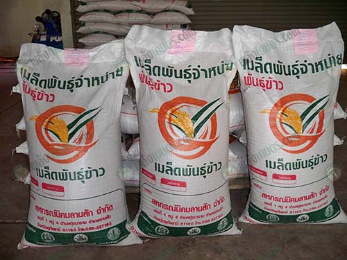 4.จำหน่ายเมล็ดพันธุ์ข้าวคุณภาพ