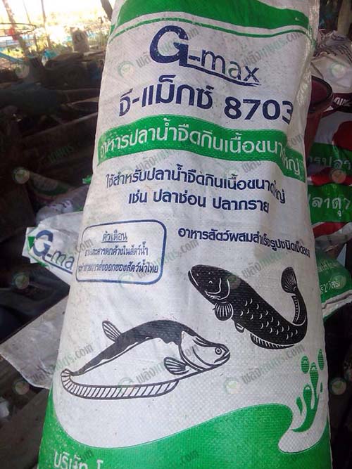5.อาหารพ่อแม่พันธุ์ปลาช่อน