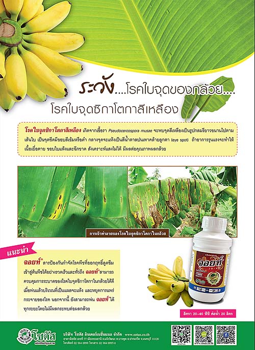 Advertisement-Banner-by-บริษัท-โซตัส-อินเตอร์เนชั่นแนล-จำกัด-www.sotus.co.th
