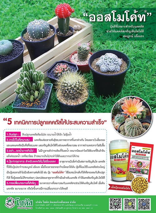 Advertisement-Banner-by-บริษัท-โซตัส-อินเตอร์เนชั่นแนล-จำกัด-www.sotus.co.th