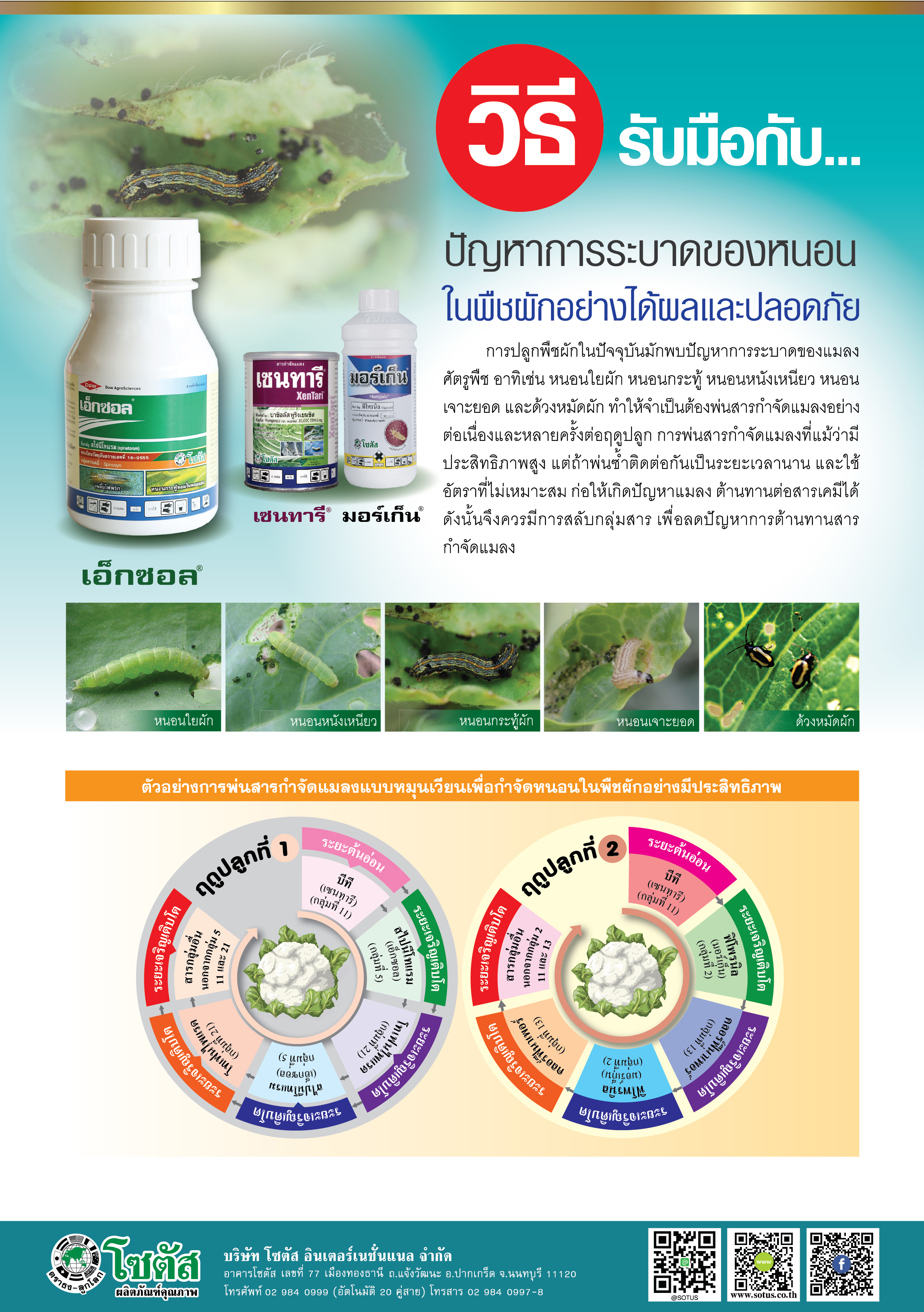 sotus เฮ็กซอล