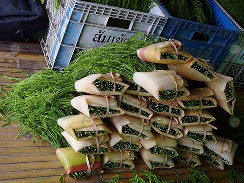 ผลผลิตห่อเสร็จพร้อมส่ง
