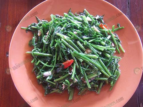 ผัดน้ำมันหอยผักกูด