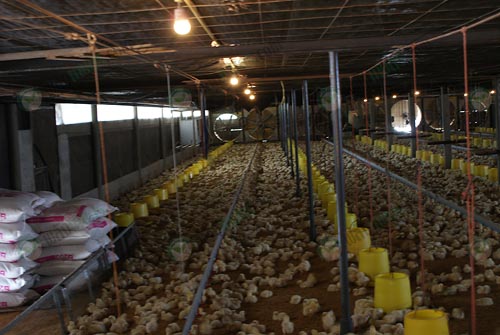 2.โรงเรือนเลี้ยงไก่เนื้อ