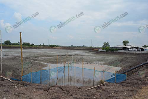3.ตากบ่อ-รอลงลุกกุ้งรอบต่อไป