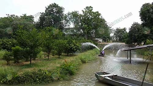 5.ระบบการให้น้ำ