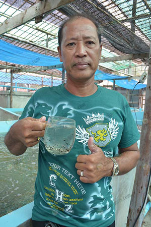6.ผู้ใหญ่เชื้อ-รวงผึ้ง