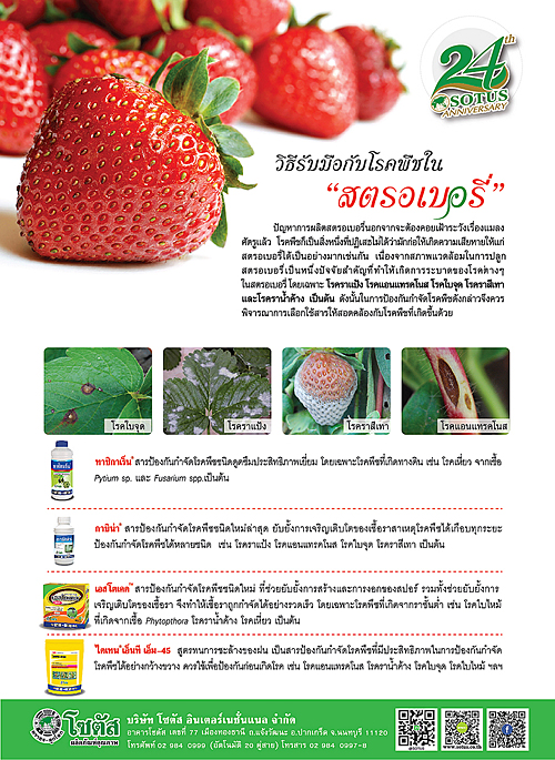 Advertisement-Banner-by-บริษัท-โซตัส-อินเตอร์เนชั่นแนล-จำกัด-www.sotus.co.th