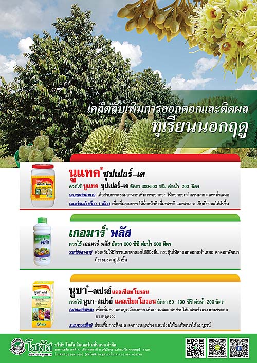 Advertisement-Banner-by-บริษัท-โซตัส-อินเตอร์เนชั่นแนล-จำกัด-www.sotus.co.th
