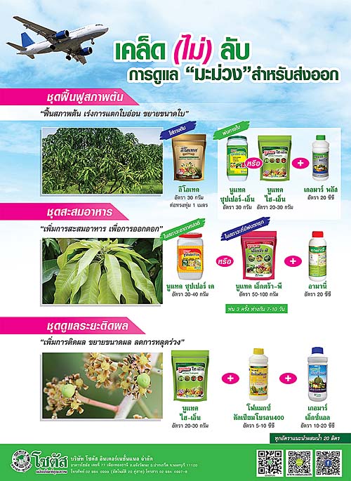 Advertisement-Banner-by-บริษัท-โซตัส-อินเตอร์เนชั่นแนล-จำกัด-www.sotus.co.th