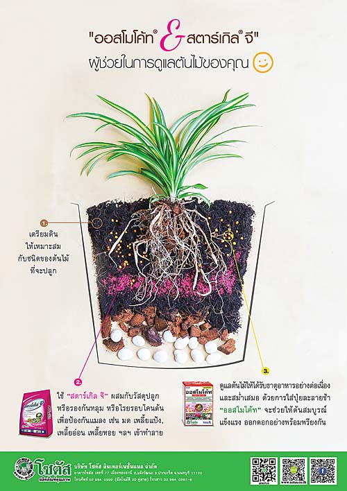 Advertisement-Banner-by-บริษัท-โซตัส-อินเตอร์เนชั่นแนล-จำกัด-www.sotus.co.th