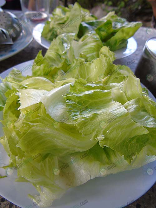 ผักกาดแก้วที่มีรสชาติหวานกรอบ