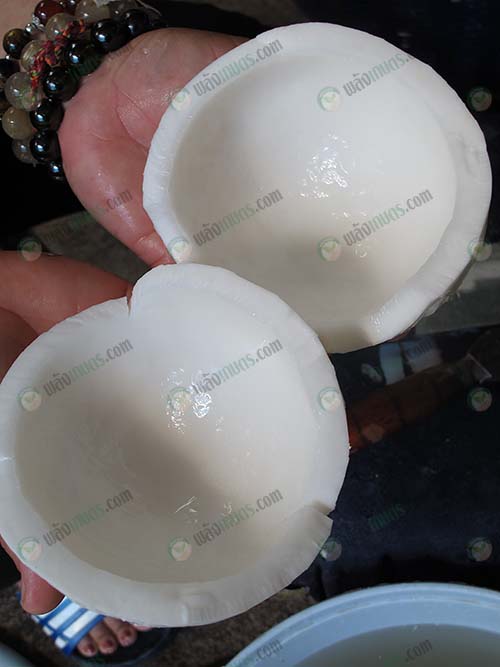 วัตถุดิบมะพร้าวขาวคุณภาพพร้อมส่ง