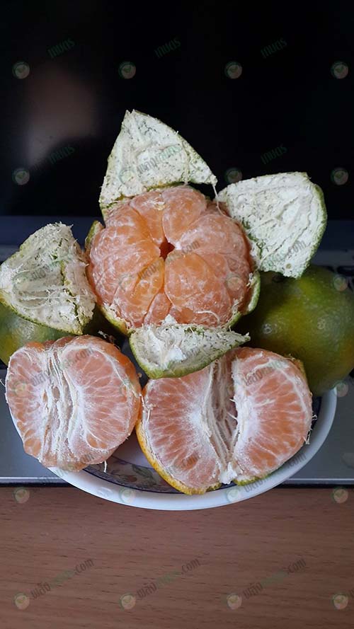 เนื้อและรสชาติส้มเขียวหวานดังชื่อ