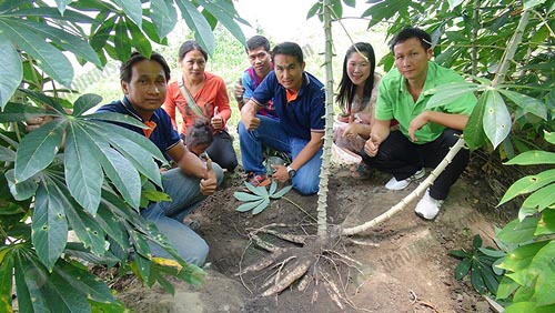 1.ที่ดินดี-มีรากฝอย-ผลผลิตเพิ่ม-มีคุณภาพ