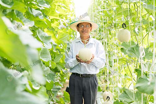 10.คุณพ่อของคุณวิทยา