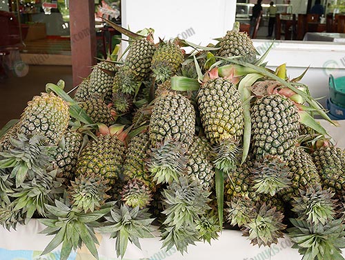 10.สับปะรดเพื่อการบริโภค