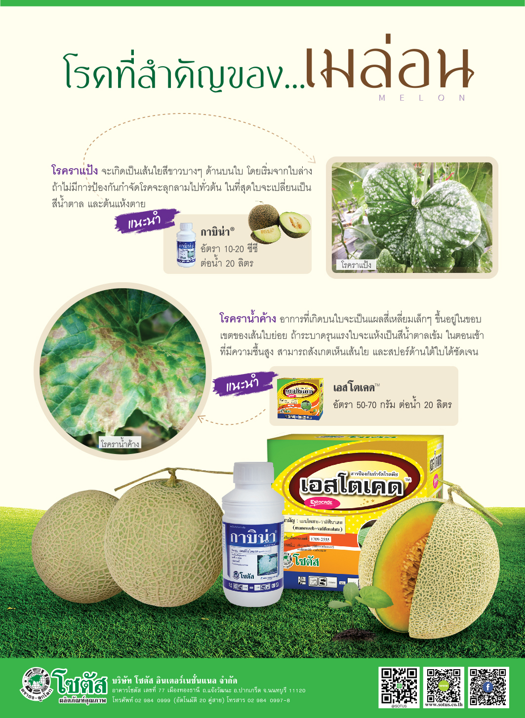 Advertisement Banner by บริษัท โซตัส อินเตอร์เนชั่นแนล จำกัด www.sotus.co.th