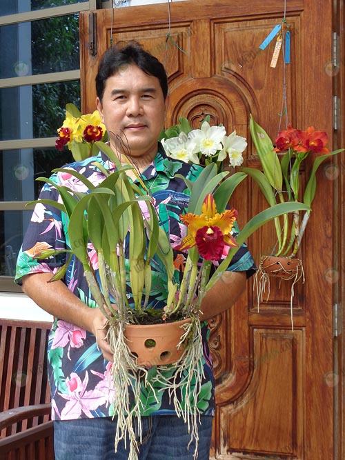 2.คุณกษิภัท-ภาวนาธนโชติ-นักสะสมกล้วยไม้-จ.กรุงเทพฯ